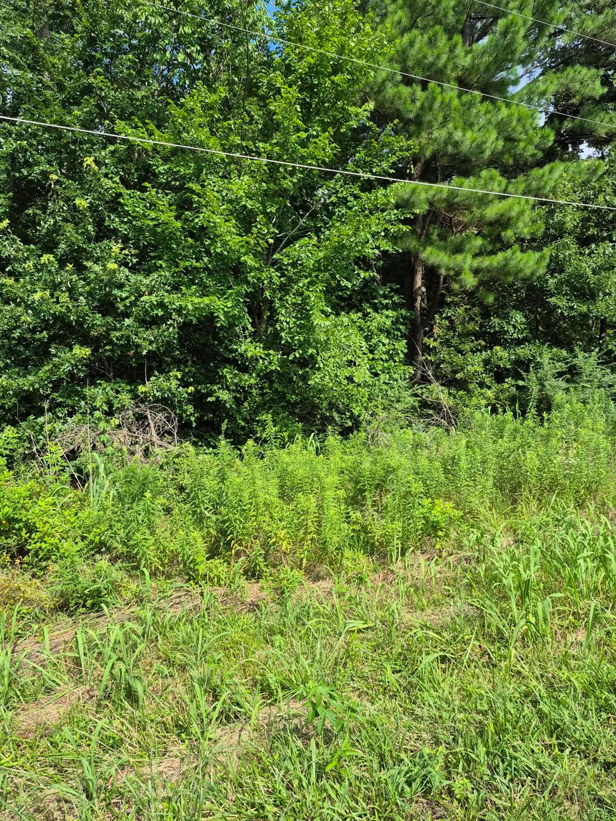 Lot #273 Hawkeye Drive #Lot 273, Gilbertsville, KY 42044 - #1