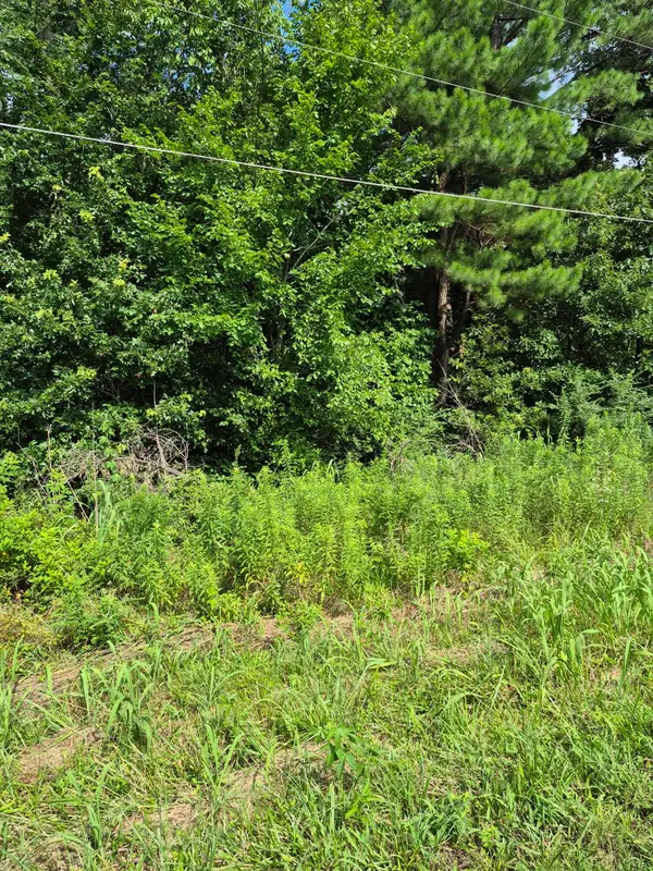 Lot #273 Hawkeye Drive #Lot 273, Gilbertsville, KY 42044