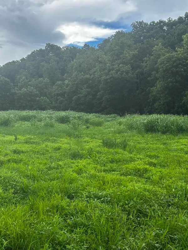 687 H M Garrison Rd Road, Manchester, KY 40962