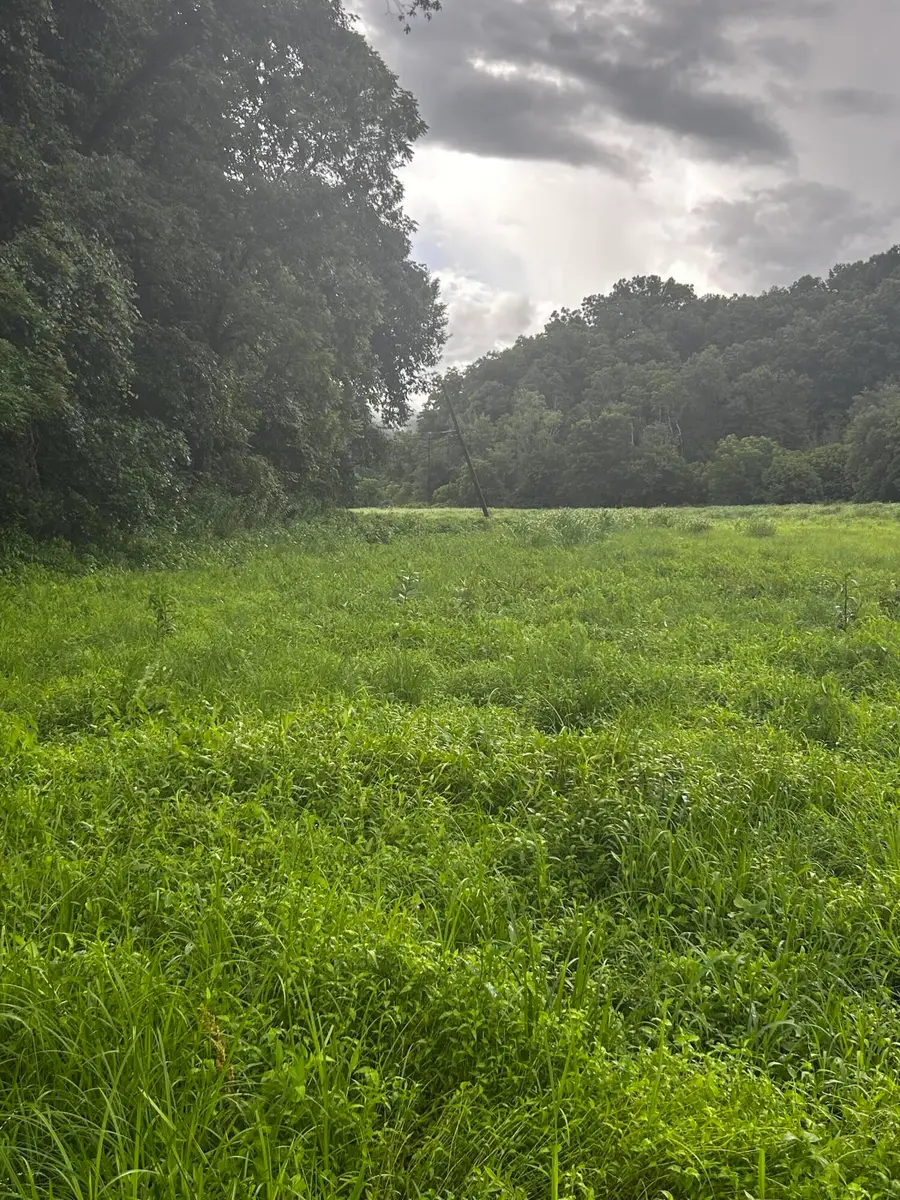 687 H M Garrison Rd Road, Manchester, KY 40962 - #3
