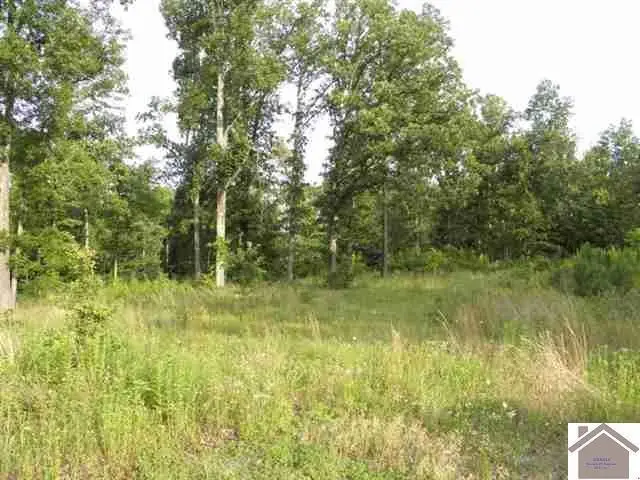 Lot 33 Woodridge Drive, Benton, KY 42025 - #2