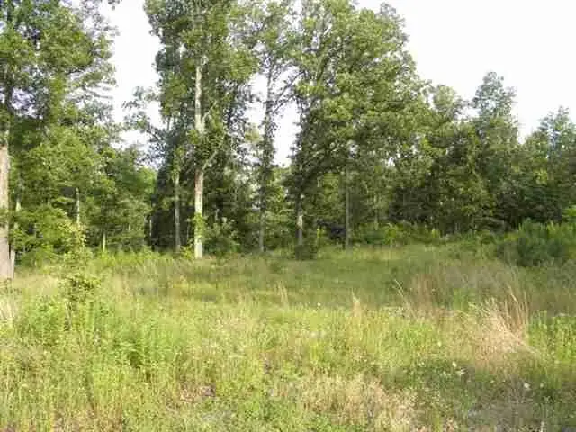 Lot 10 Woodridge Drive, Benton, KY 42025 - #2