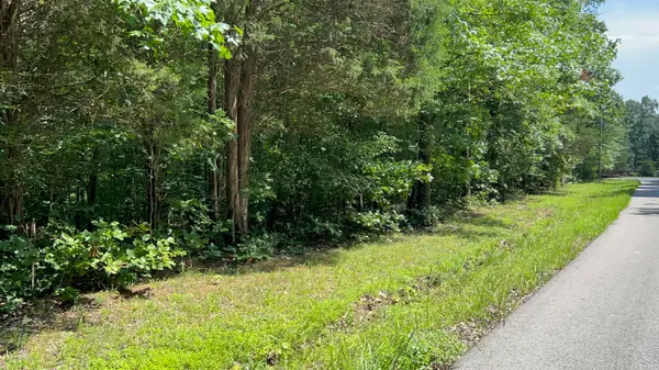 Lot 53 Baypoint Lane, New Concord, KY 42076