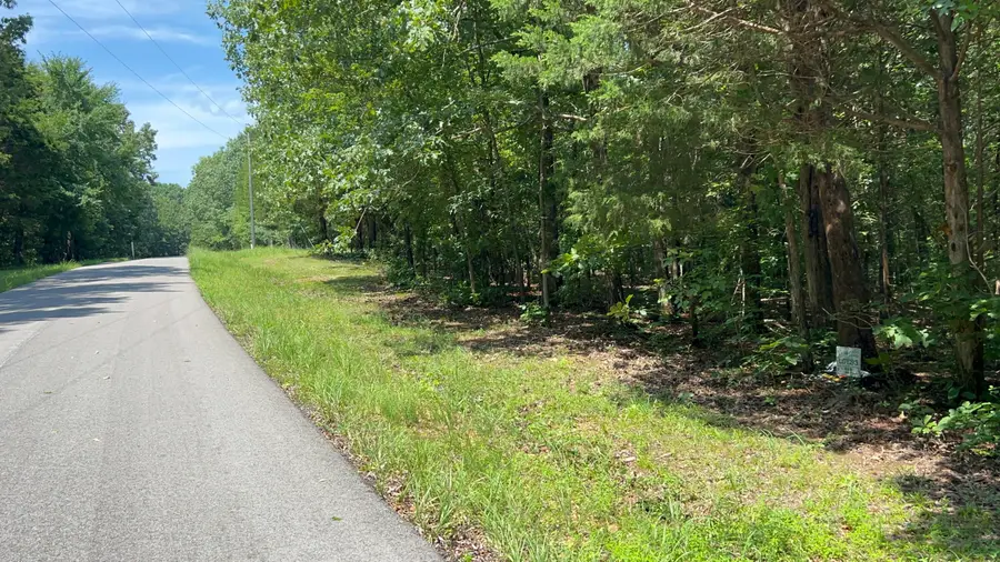 Lot 53 Baypoint Lane, New Concord, KY 42076 - #3