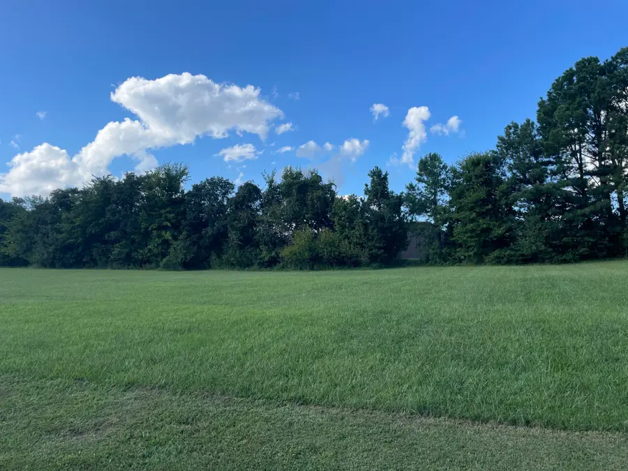 Lot 4 Saddle Creek Subdivision, Murray, KY 42071 - #2
