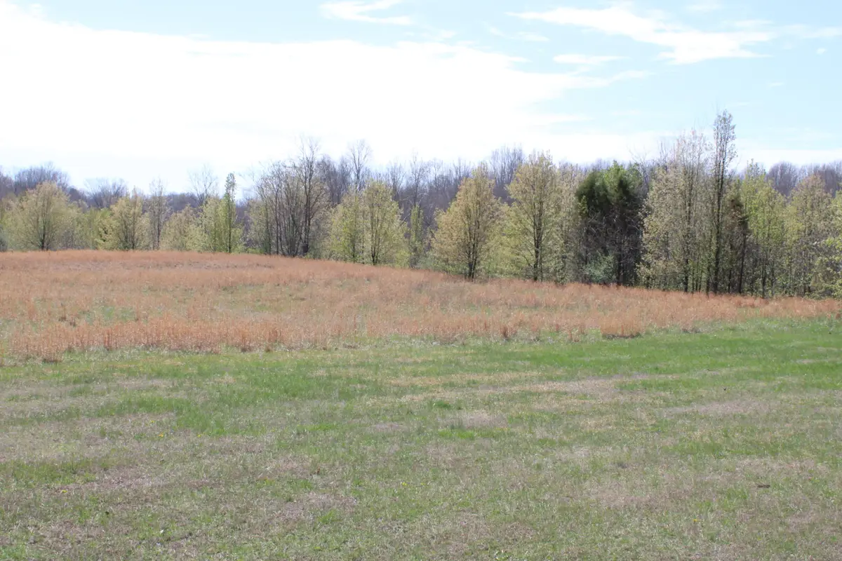 21A1-H-1 Beech Street, Kuttawa, KY 42055 - #1