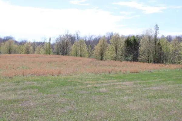 21A1-H-1 Beech Street, Kuttawa, KY 42055