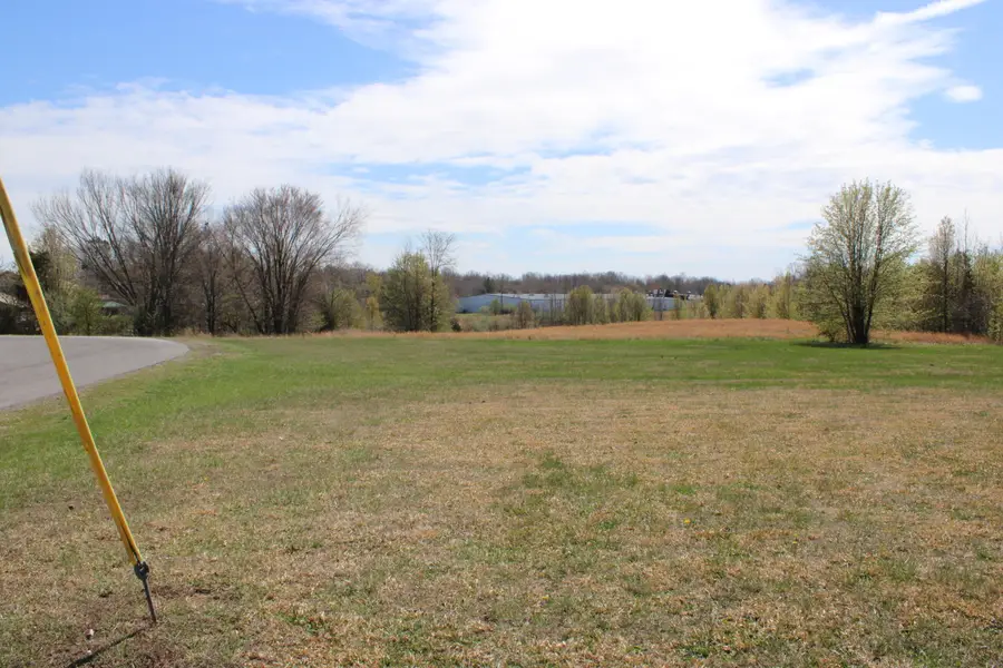21A1-H-1 Beech Street, Kuttawa, KY 42055 - #3