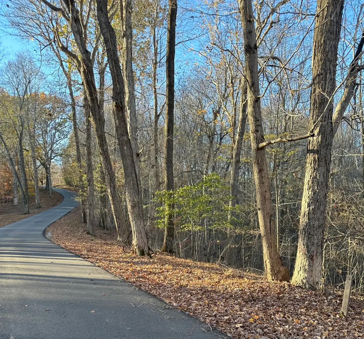 Lot 56 and Lot 57 Lisanby Road, Eddyville, KY 42038 - #1