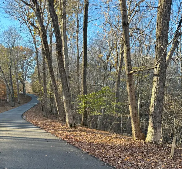 Lot 56 and Lot 57 Lisanby Road, Eddyville, KY 42038