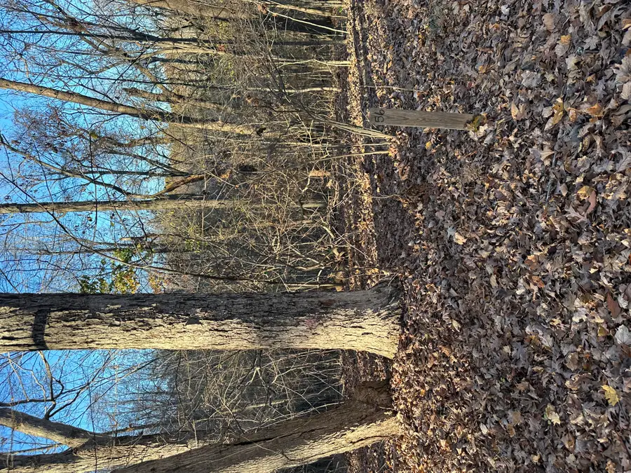 Lot 56 and Lot 57 Lisanby Road, Eddyville, KY 42038 - #3