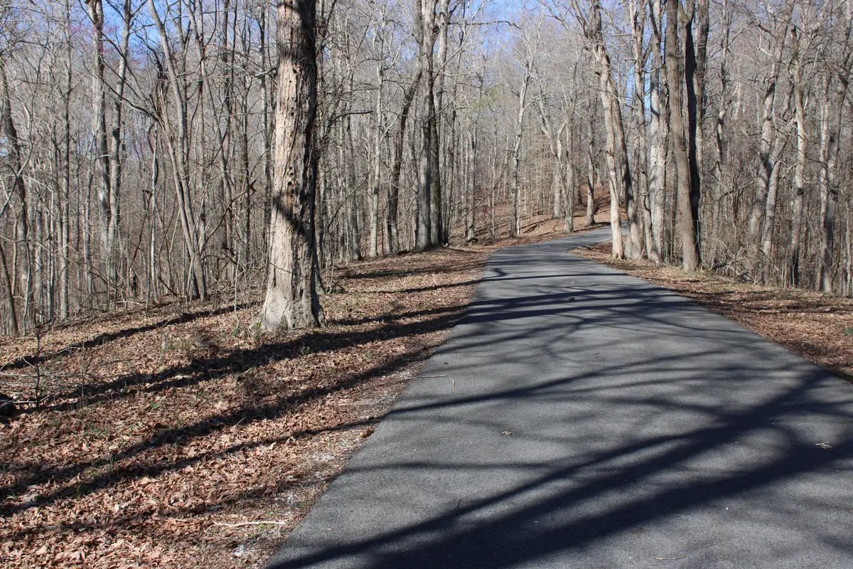 Lot 44 and Lot 45 Lisanby Road, Eddyville, KY 42038 - #1