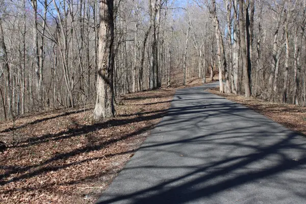 Lot 44 and Lot 45 Lisanby Road, Eddyville, KY 42038