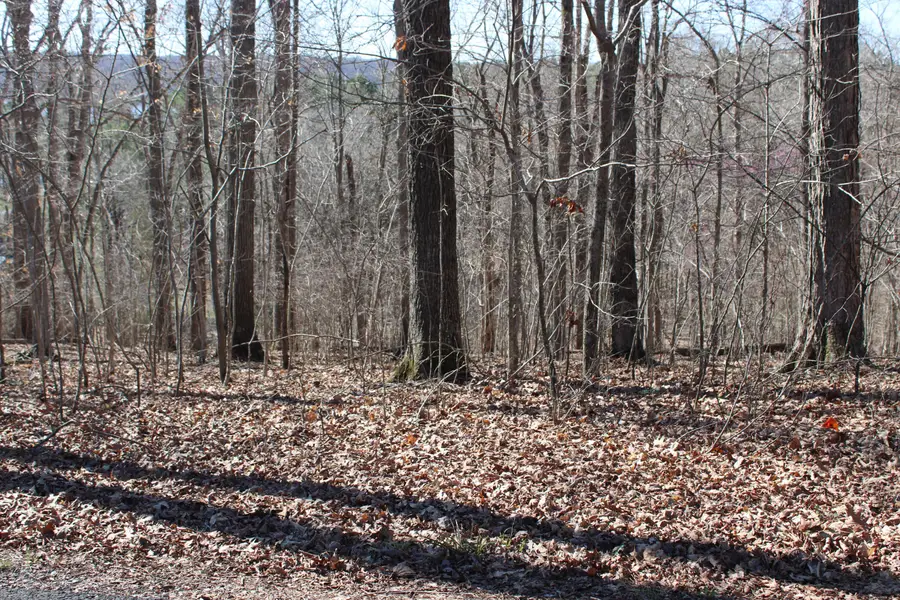 Lot 44 and Lot 45 Lisanby Road, Eddyville, KY 42038 - #2