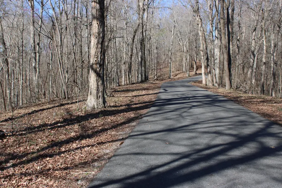 Lot 44 and Lot 45 Lisanby Road, Eddyville, KY 42038 - #3