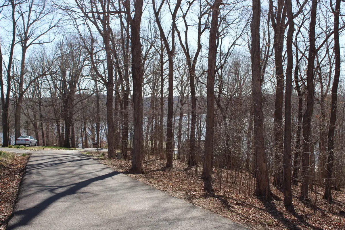 Lot 42 and Lot 43 Lisanby Road, Eddyville, KY 42038 - #1