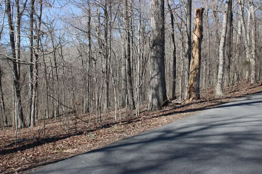 Lot 42 and Lot 43 Lisanby Road, Eddyville, KY 42038 - #2