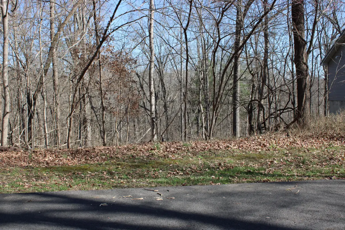 Lot 54 and Lot 55 Lisanby Road, Eddyville, KY 42038 - #1