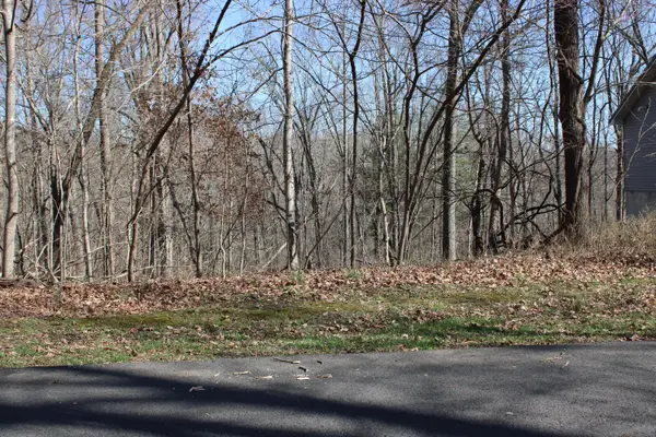 Lot 54 and Lot 55 Lisanby Road, Eddyville, KY 42038