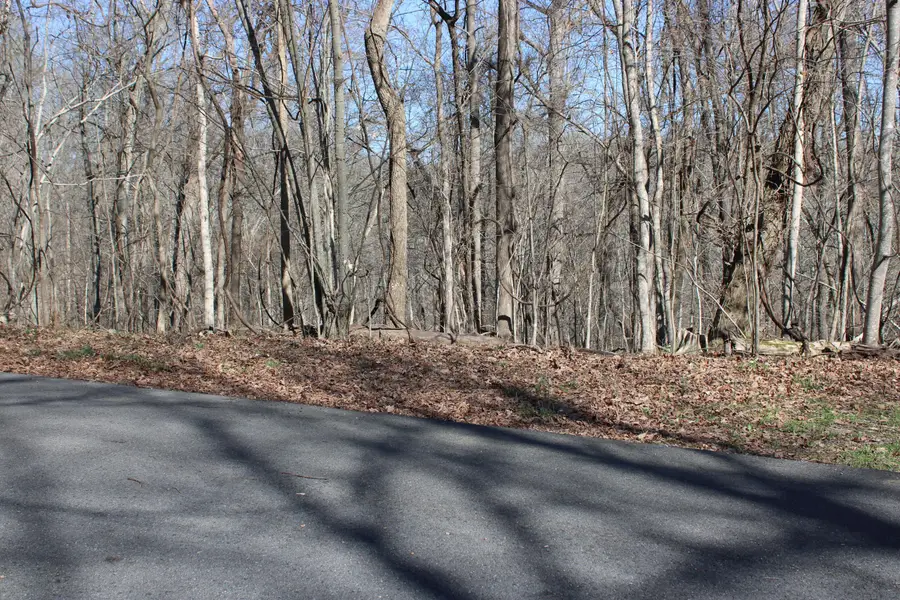 Lot 54 and Lot 55 Lisanby Road, Eddyville, KY 42038 - #2