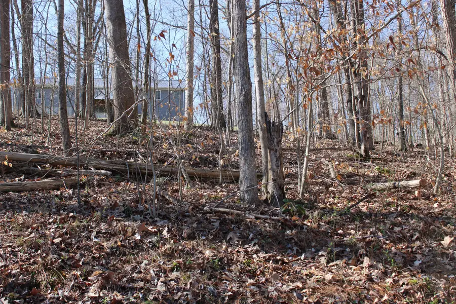 Lot 54 and Lot 55 Lisanby Road, Eddyville, KY 42038 - #3