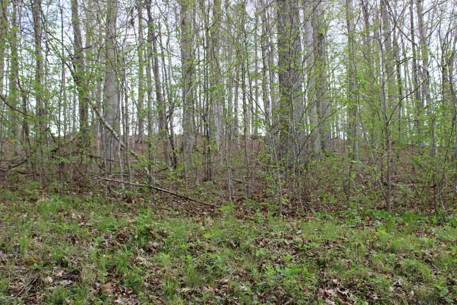 Lot 80 Lisanby Road, Eddyville, KY 42038 - #2