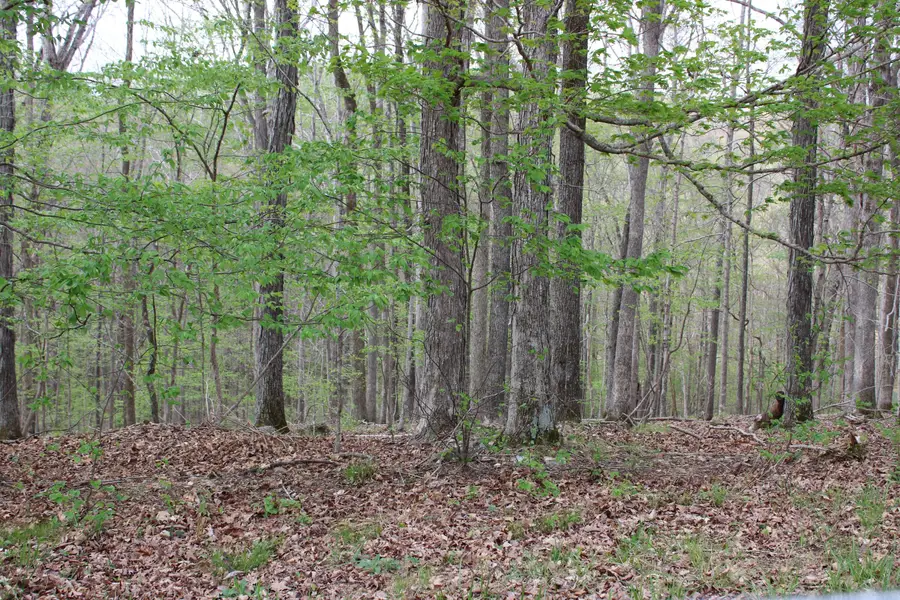 Lot 80 Lisanby Road, Eddyville, KY 42038 - #3