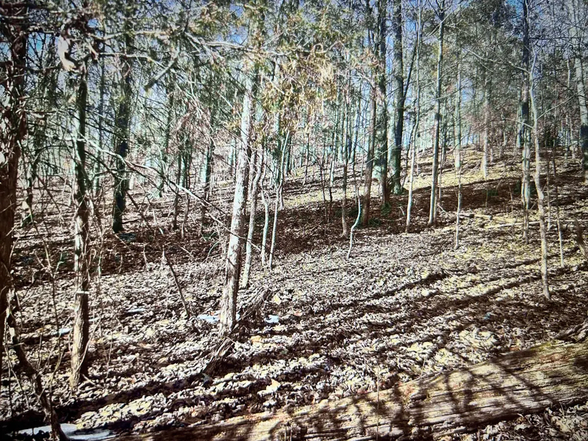 034 Canton Heights 2 Circle, Cadiz, KY 42211 - #1