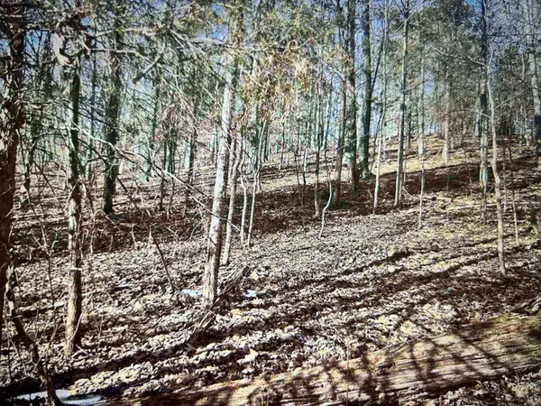 034 Canton Heights 2 Circle, Cadiz, KY 42211