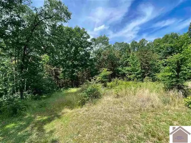 00 Dock Dr. Lot 66, Murray, KY 42071 - #1