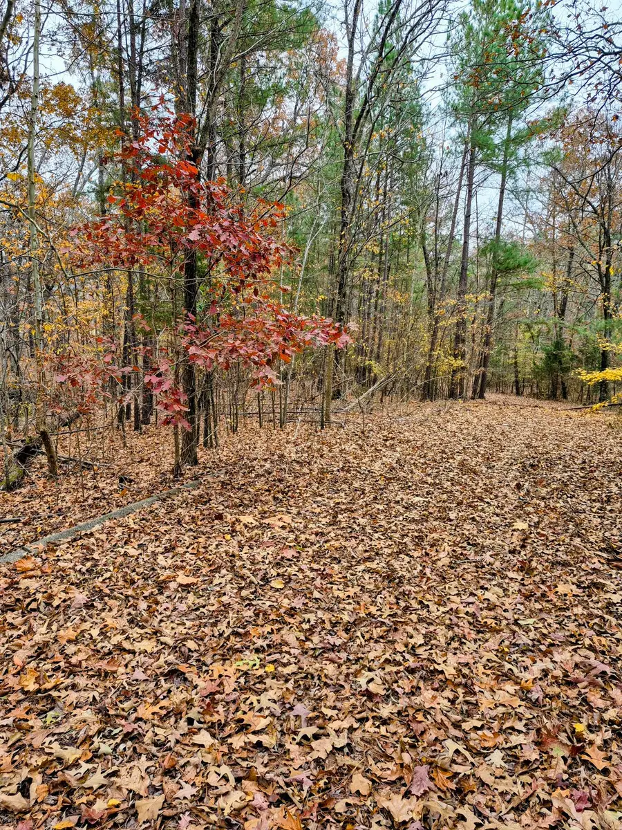 Lot #3 #4 #5 & 37.66 acre Bear Run Trail #3, Benton, KY 42025 - #2