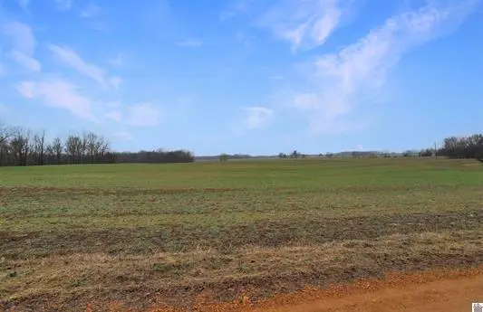 073-0-0003 Atkins Trail, Hazel, KY 42049 - #3