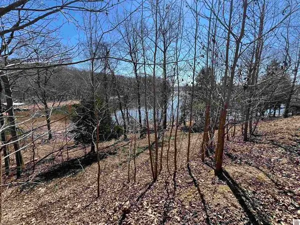 tract 4 Oak Ridge Road, Cadiz, KY 42211