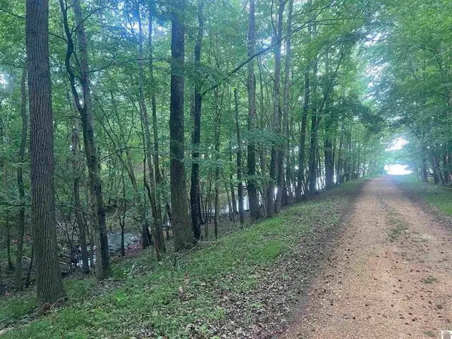 Lot 51 Block E Serenity Shores Road, Cadiz, KY 42211 - #1