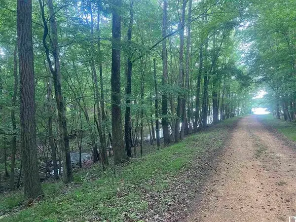 Lot 51 Block E Serenity Shores Road, Cadiz, KY 42211