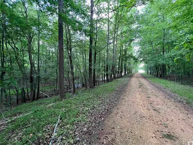 Lot 51 Block E Serenity Shores Road, Cadiz, KY 42211 - #2
