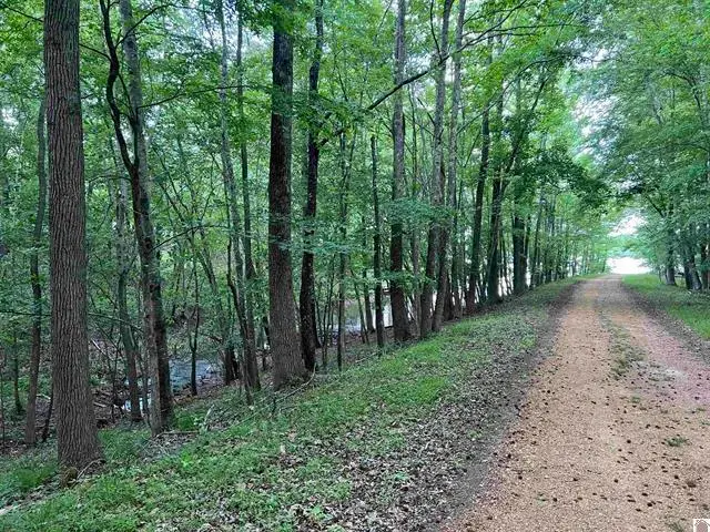 Lot 51 Block E Serenity Shores Road, Cadiz, KY 42211 - #3