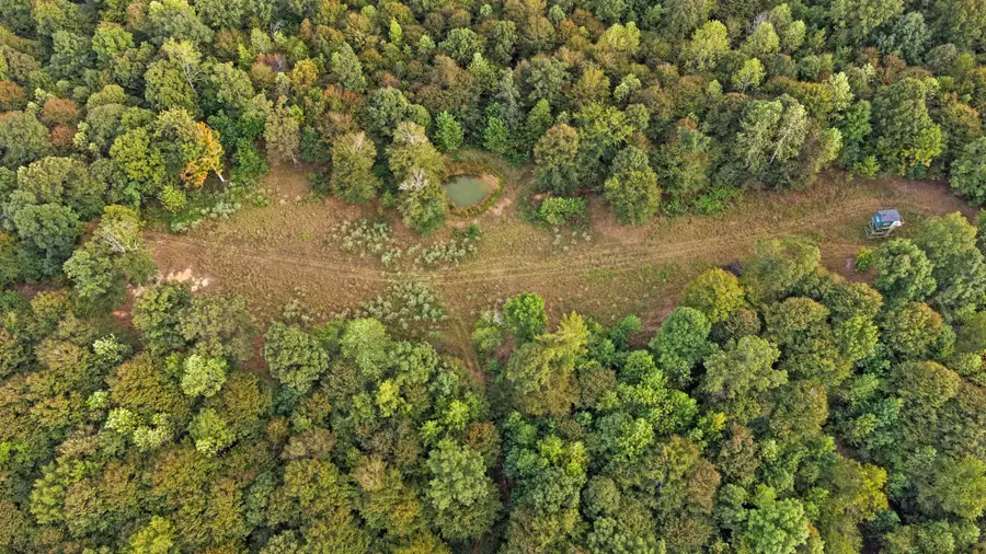Land Rockcastle Road, Cadiz, KY 42211 - #3