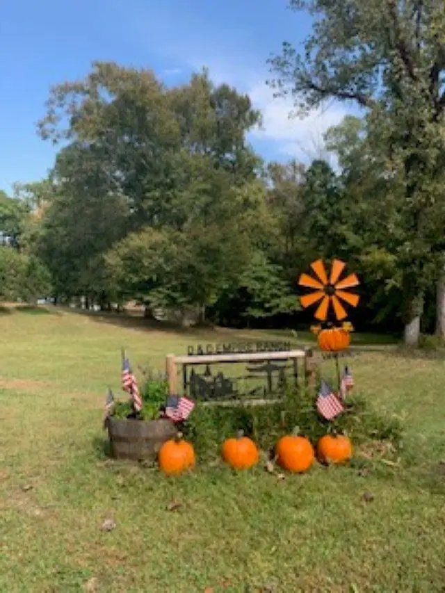 Lots 138-142 Willanco Road, Eddyville, KY 42038 - #2
