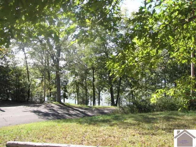 1776 Parkersville Rd Road, Eddyville, KY 42038 - #2