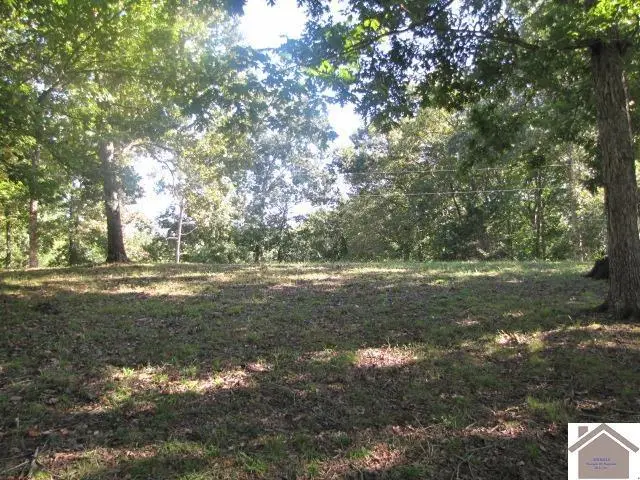 1776 Parkersville Rd Road, Eddyville, KY 42038 - #3