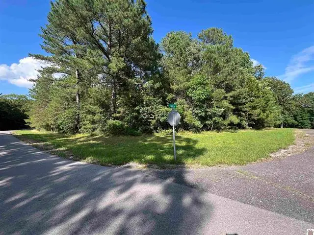 Unit 2 Lot 96 Briarfield Road, Murray, KY 42071 - #3