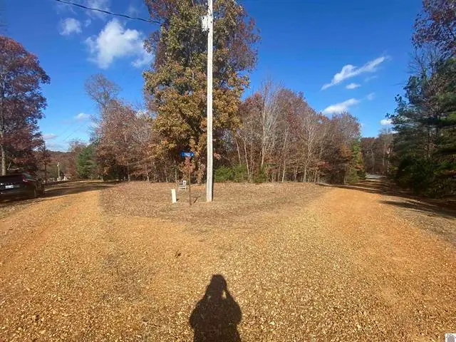Lot 1 Faust Road, Benton, KY 42025 - #3