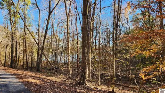 Lot 54B & 55E  Commerce Landing Road, Eddyville, KY 42038 - #3