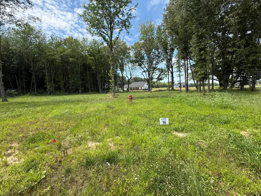 99 Ellie Court, Mayfield, KY 42066 - #2