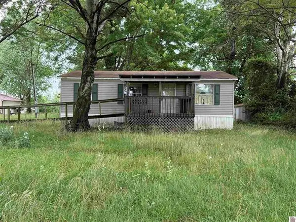 10670 Princeton Road, Cerulean, KY 42215