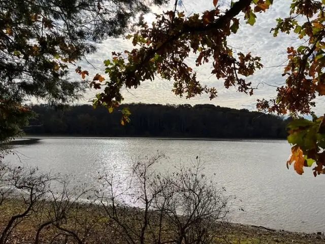 0 Crane Lane, Cadiz, KY 42211 - #2