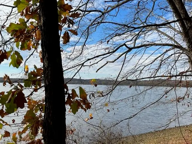0 Crane Lane, Cadiz, KY 42211 - #3