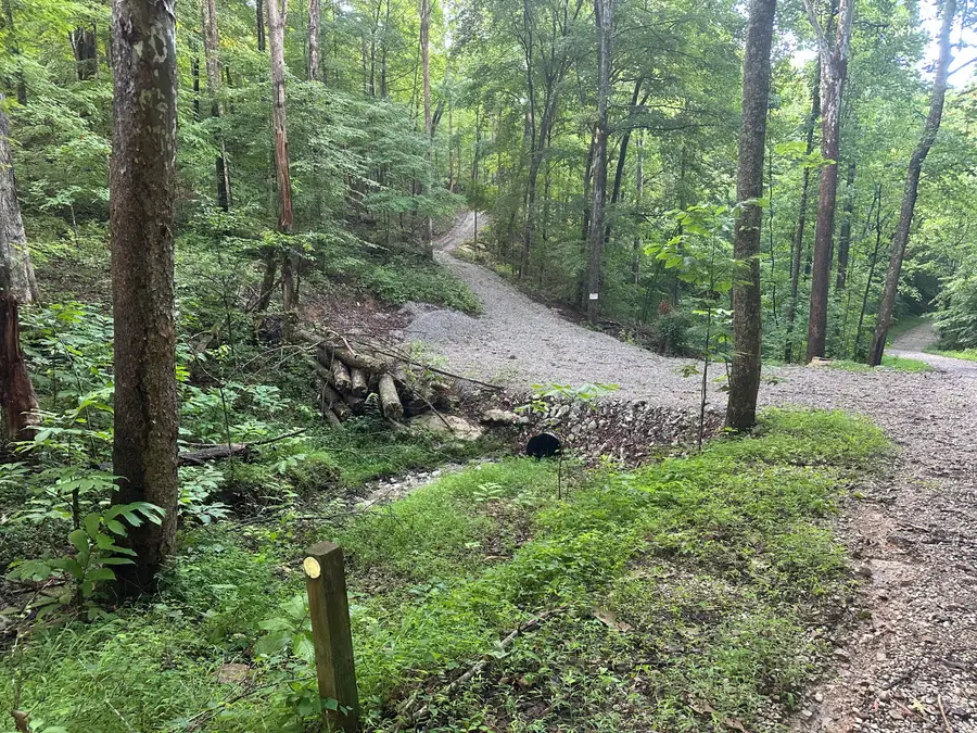 000 Cannon Hollow Rd Road, Bronston, KY 42518 - #2