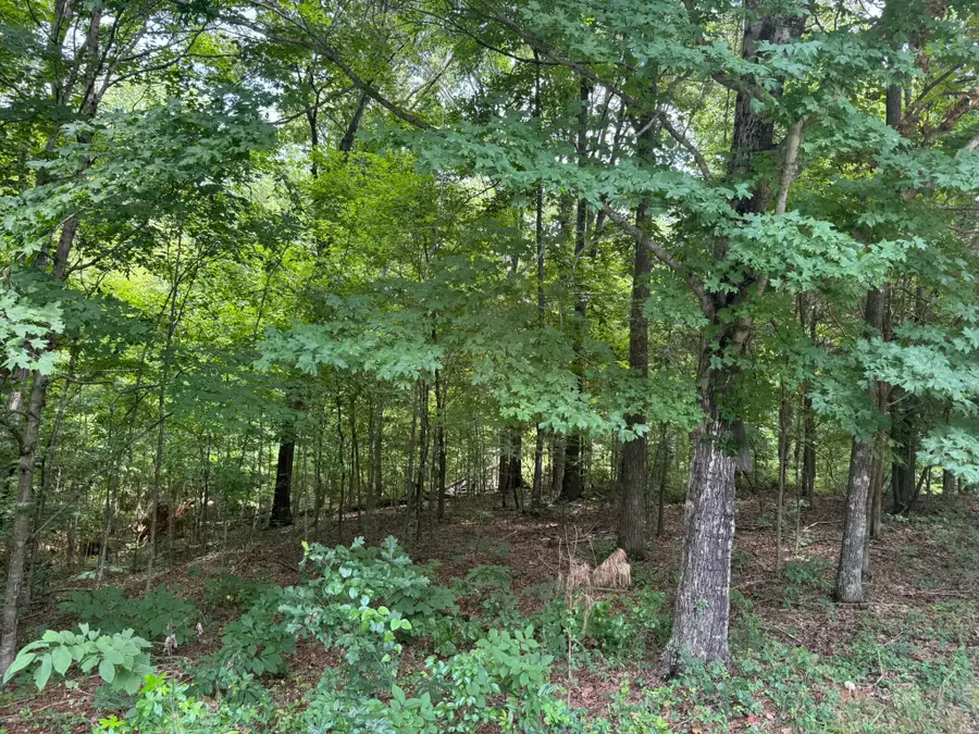 Lot 7 Woodsong Lane, Murray, KY 42071 - #3